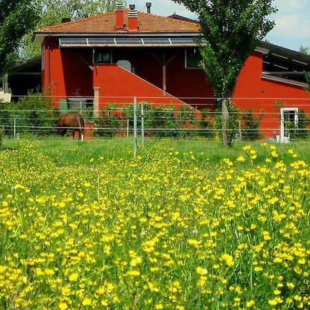 Agriturismo Adriano Pedretti Badia Polesine Εξωτερικό φωτογραφία