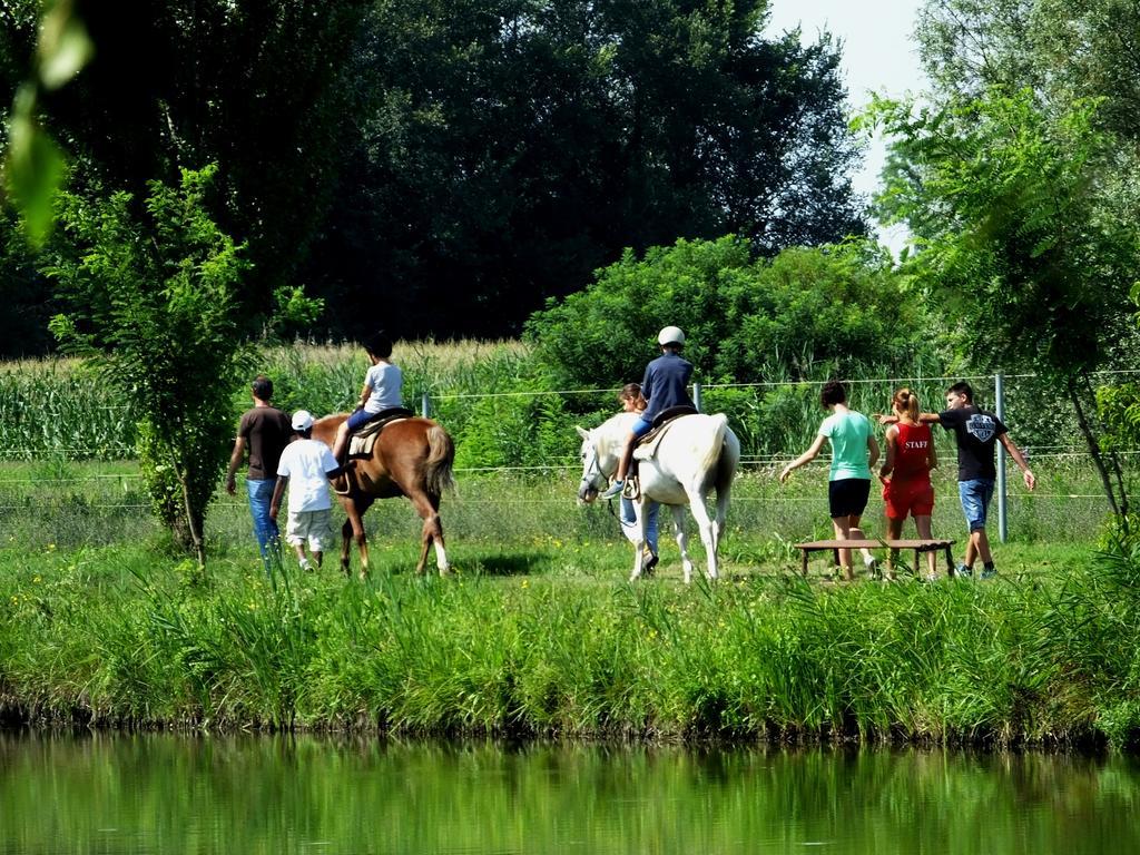 Agriturismo Adriano Pedretti Badia Polesine Εξωτερικό φωτογραφία