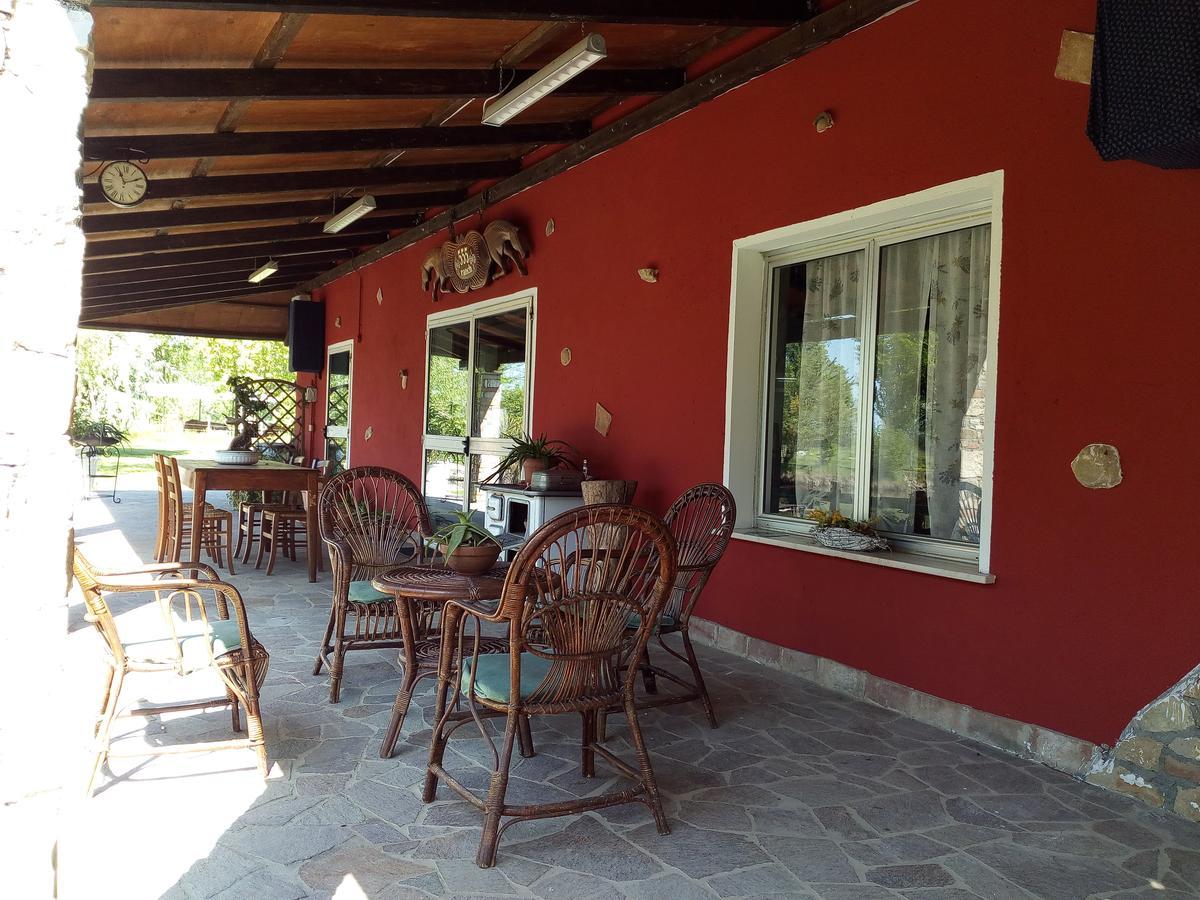 Agriturismo Adriano Pedretti Badia Polesine Εξωτερικό φωτογραφία