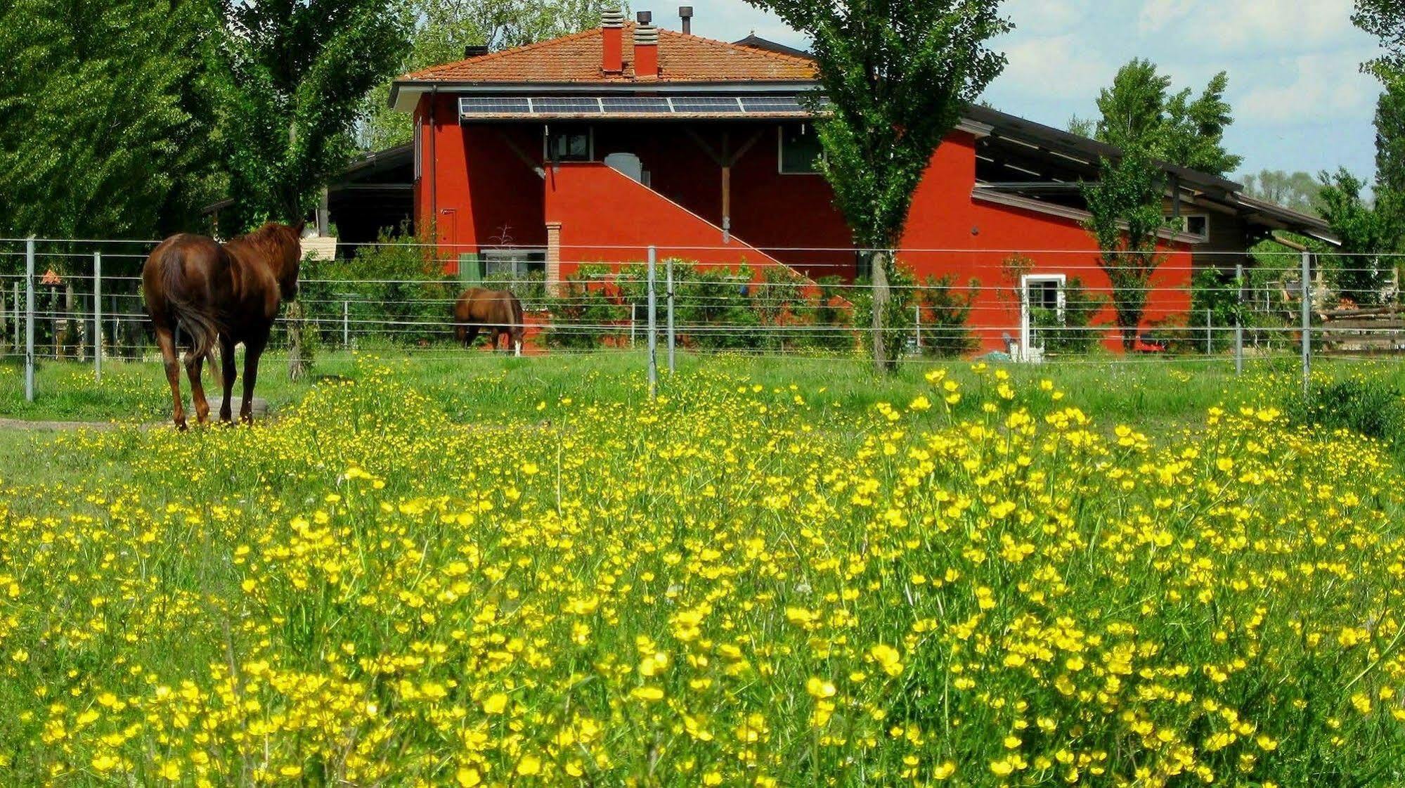 Agriturismo Adriano Pedretti Badia Polesine Εξωτερικό φωτογραφία